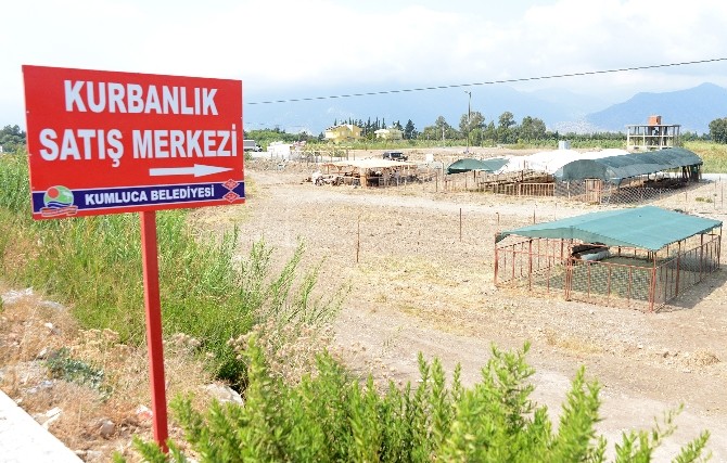 Kumluca'da kurban satış yeri belirlendi