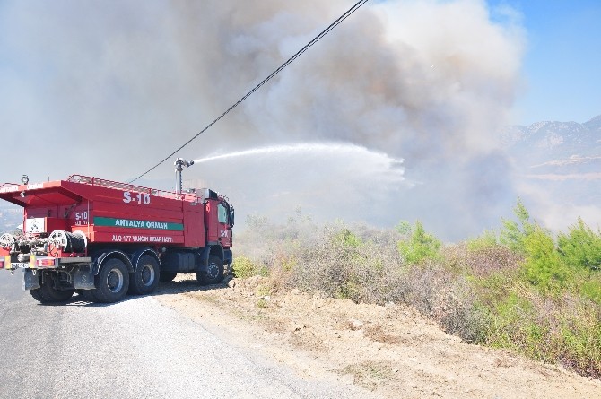 Makilik alanda korkutan yangın
