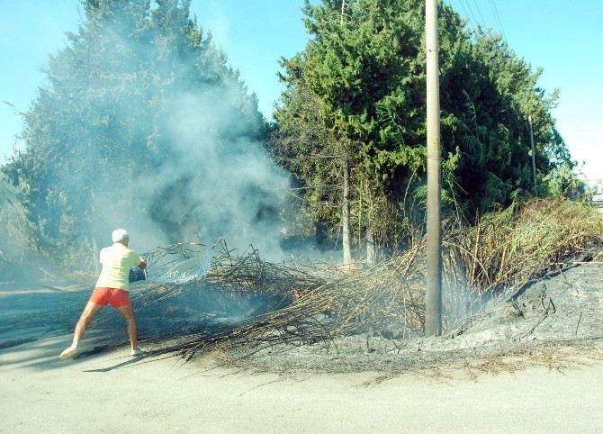 Manavgat'ta iki ayrı yerde yangın