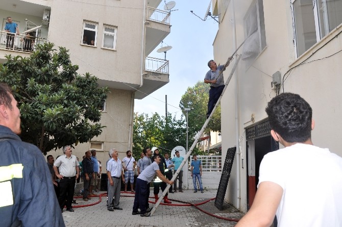 Mobilya mağazasında yangın