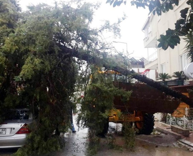 Muratpaşa'da özel seyyar ekipler