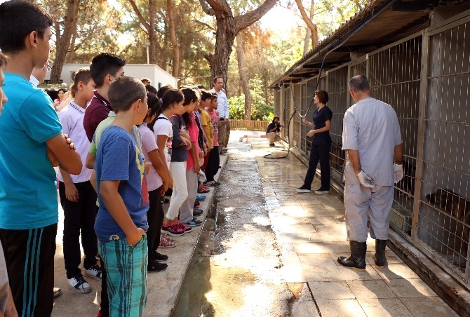 Öğrencilerden sahipsiz hayvan barınağına ziyaret