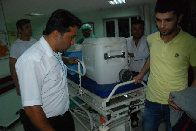 Organları 3 kişiye umut oldu