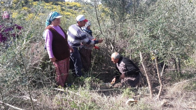Orman ve Su İşleri Bakanlığı’ndan orman köylüsüne destek