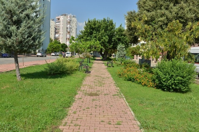 Park duvarları kaldırılıyor, yeşil doku kentle bütünleşiyor