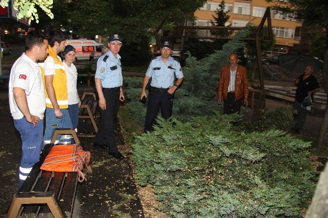 “Parkta ağabeyimin üzerine ağaç devrildi