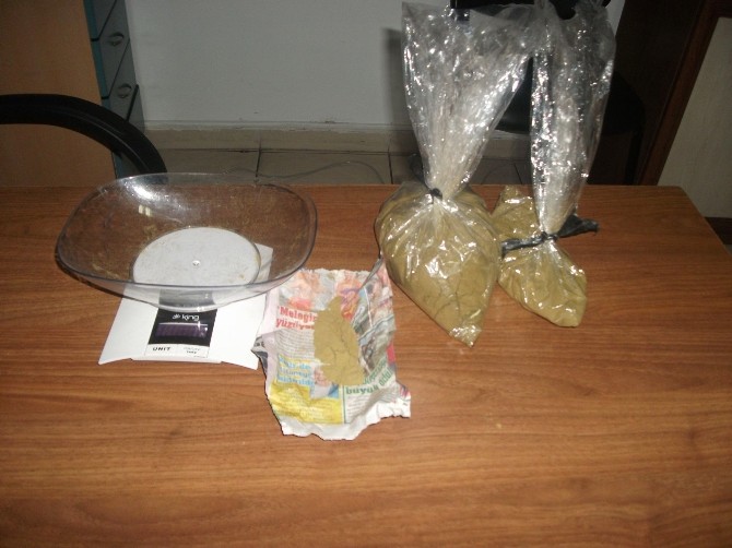 Parkta uyuşturucu operasyonu