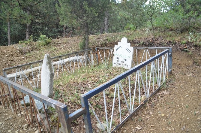 Rivayete göre Türbe'nin dalları yanmıyor