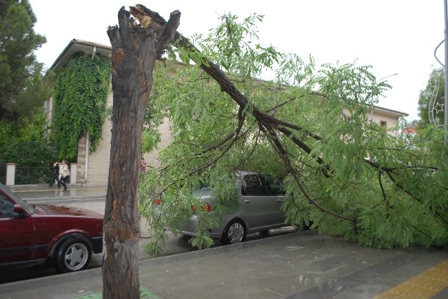 Rüzgardan devrilen araç otomobilin üstüne düştü