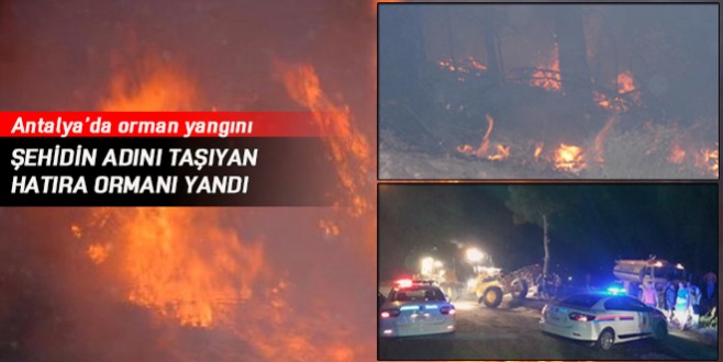 Şehidin adını taşıyan hatıra ormanı yandı