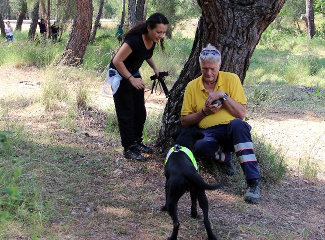 Sokak köpekleri hayat kurtaracak