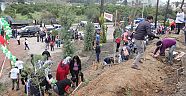 15 Temmuz Şehidi  adına hatıra ormanı (Videolu)