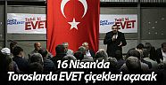 16 Nisan'da Toroslarda EVET çiçekleri açacak 