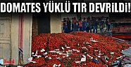 20 ton domates yola saçıldı!