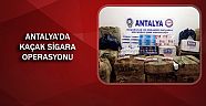 30 bin paket kaçak sigara ele geçirildi