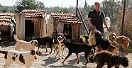 300 sokak köpeğine  çocuğu gibi bakıyor