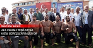663. Elmalı Yeşilyayla Yağlı Güreşleri başlıyor