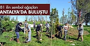 81 ilin sembol ağaçları Antalya’da buluştu