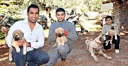'Akdeniz Kangalı' yetiştiriyor  