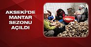  Akseki ilçesinde mantar sezonu açıldı