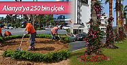 Alanya’ya 250 bin çiçek