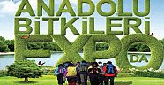 Anadolu Bitkileri Expo’da  Yarışması sonuçlandı