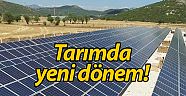 Antalya Büyükşehir Belediyesi Tarımsal Destekleme Yönetmeliği çıkarıldı