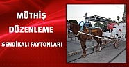 Antalya Büyükşehir Belediyesi'nden faytonlara yönelik çalışma