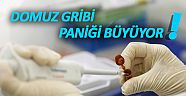 Antalya'da 1 kişi domuz gribi şüphesiyle yoğun bakımda