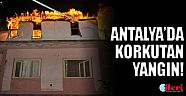 Antalya'da alevlerin arasında can pazarı!
