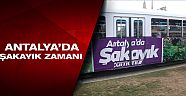 Antalya'da şakayık zamanı