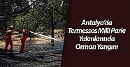 Antalya’da Termessos Milli Parkı yakınlarında orman yangını