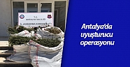 Antalya’da uyuşturucu operasyonu