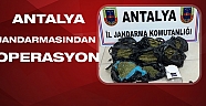 Antalya Jandarmasından operasyon!