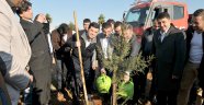 Antalyalı şehitlerin anısına 2132 fidan