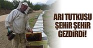 Arı tutkusu şehir şehir gezdirdi 