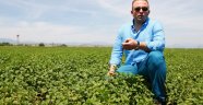 Aromatik bitki cennetiyiz