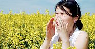 Bahar alerjisine çözüm Mayıs papatyası!