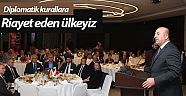 Bakan Çavuşoğlu: ''Kulağından tutup hücreye atardık''