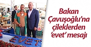 Bakan Çavuşoğlu’na çileklerden ’evet’ mesajı