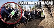 Bakan Faruk Çelik, EXPO 2016 alanına ağaç dikti