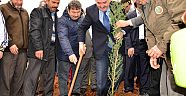 Bir fidan borcun var kampanyası
