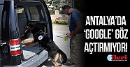 Bomba aramaları ’Google’den soruluyor