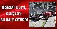 Bonzai, iki genci bu hale getirdi