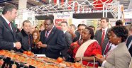 Büyükelçiler Domatexpo'da