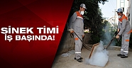 Büyükşehir, sinekle mücadele çalışmalarına devam ediyor