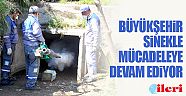 Büyükşehir sinekle mücadeleye devam ediyor
