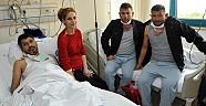 Çapraz nakil kardeşliği