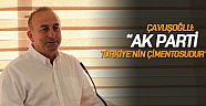 Çavuşoğlu, “AK Parti Türkiye’nin çimentosudur”