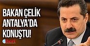 Çelik: 